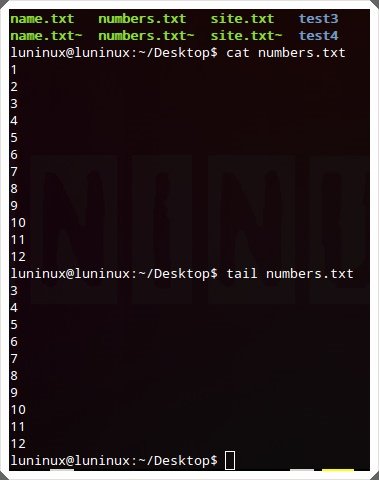 Linux用户必看：29个必须掌握的常用命令