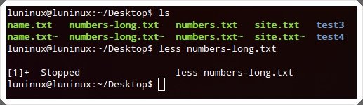 Linux用户必看：29个必须掌握的常用命令