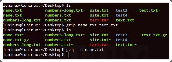 Linux用户必看：29个必须掌握的常用命令