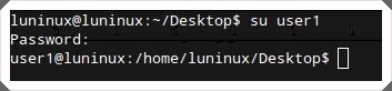 Linux用户必看：29个必须掌握的常用命令