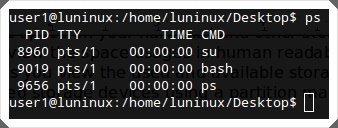 Linux用户必看：29个必须掌握的常用命令